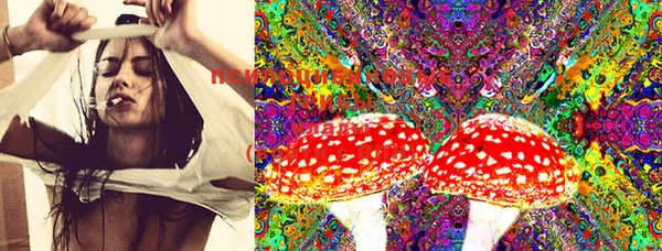 MESCALINE Аркадак