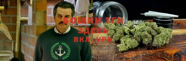 MESCALINE Аркадак
