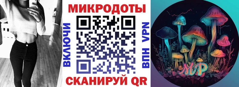 Галлюциногенные грибы ЛСД  OMG ССЫЛКА  Новороссийск 