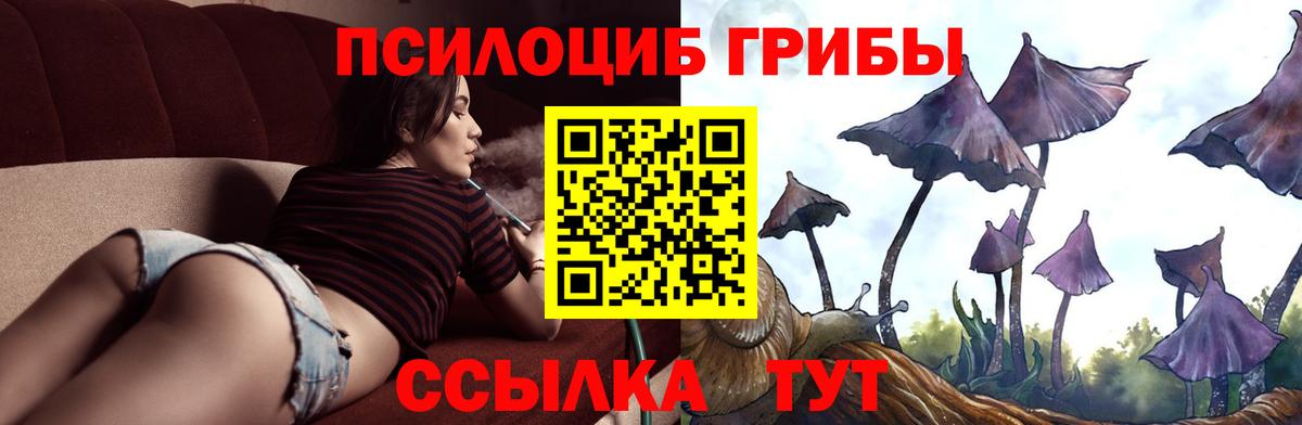 Галлюциногенные грибы GOLDEN TEACHER Новороссийск